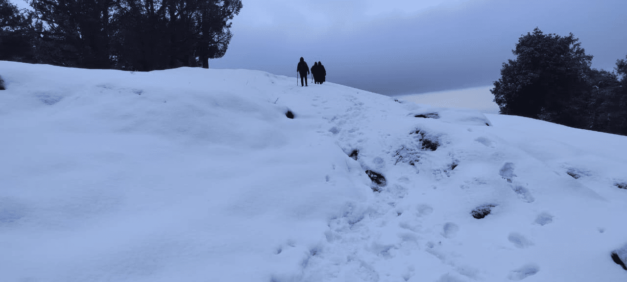 Nag Tibba Summit → Pantwari → Dehradun